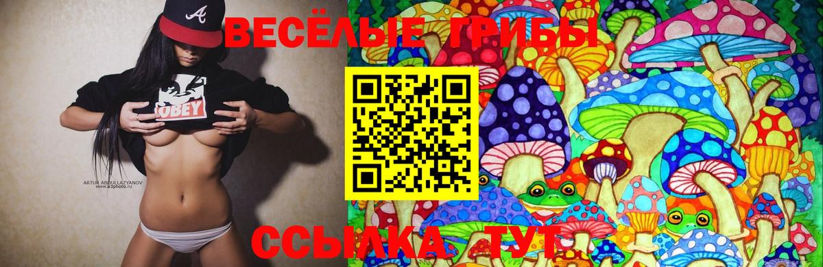 Камень-на-Оби  Галлюциногенные грибы GOLDEN TEACHER  Вход с VPN  Псилоцибиновые грибы мухоморы 